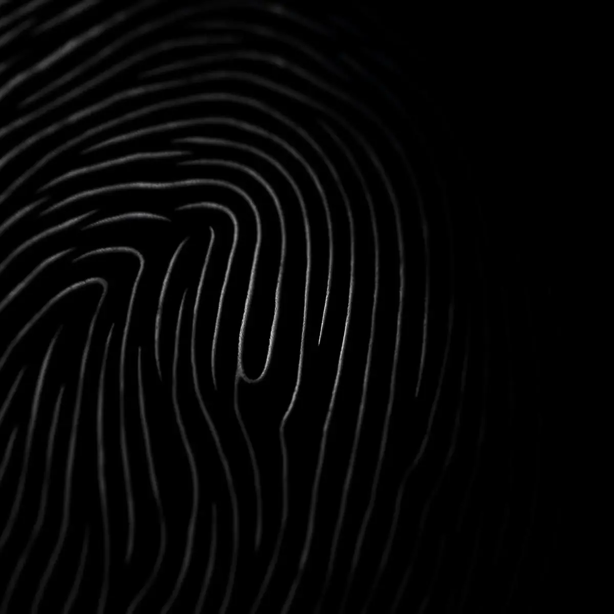Document-grade identity